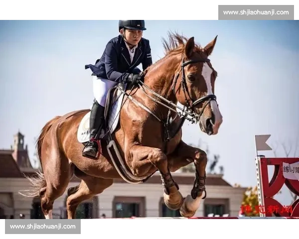 马术优雅驰骋，全运数据榜上的贵族运动