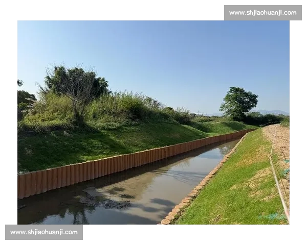 守护绿色电竞，国际合作共建健康赛事环境